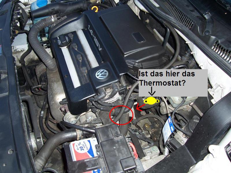 Thermostat 1.4 AKQ Bj.99 - Golf 4 Forum